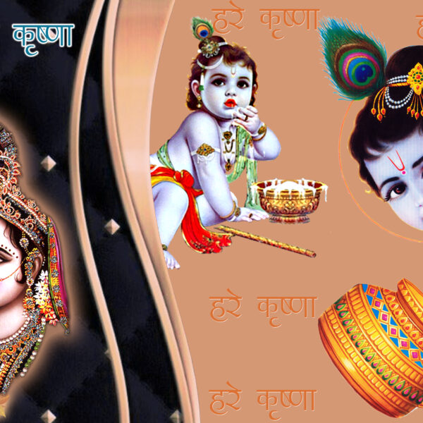 Krishna Childhood and Teenage Combo - Image 3